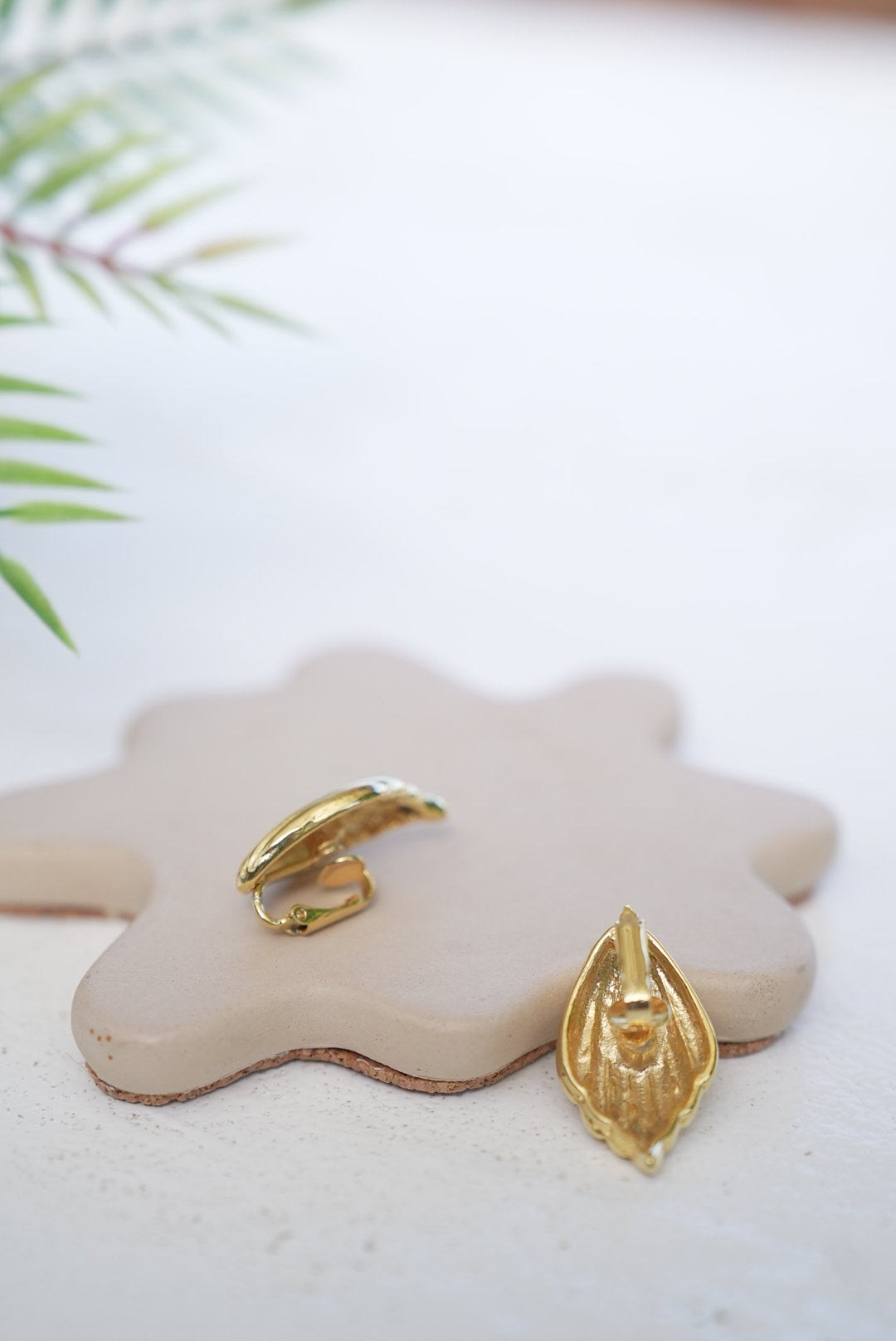 Clip on Earrings