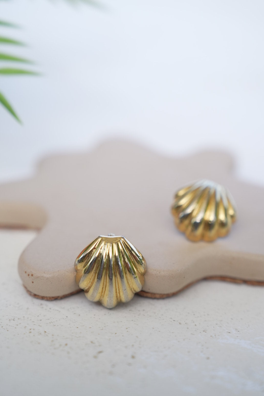 Shell Clip on Earrings