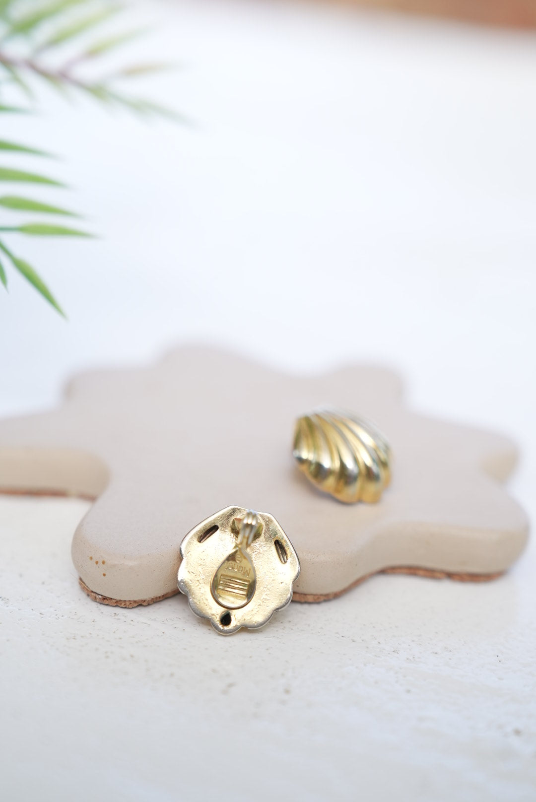 Shell Clip on Earrings