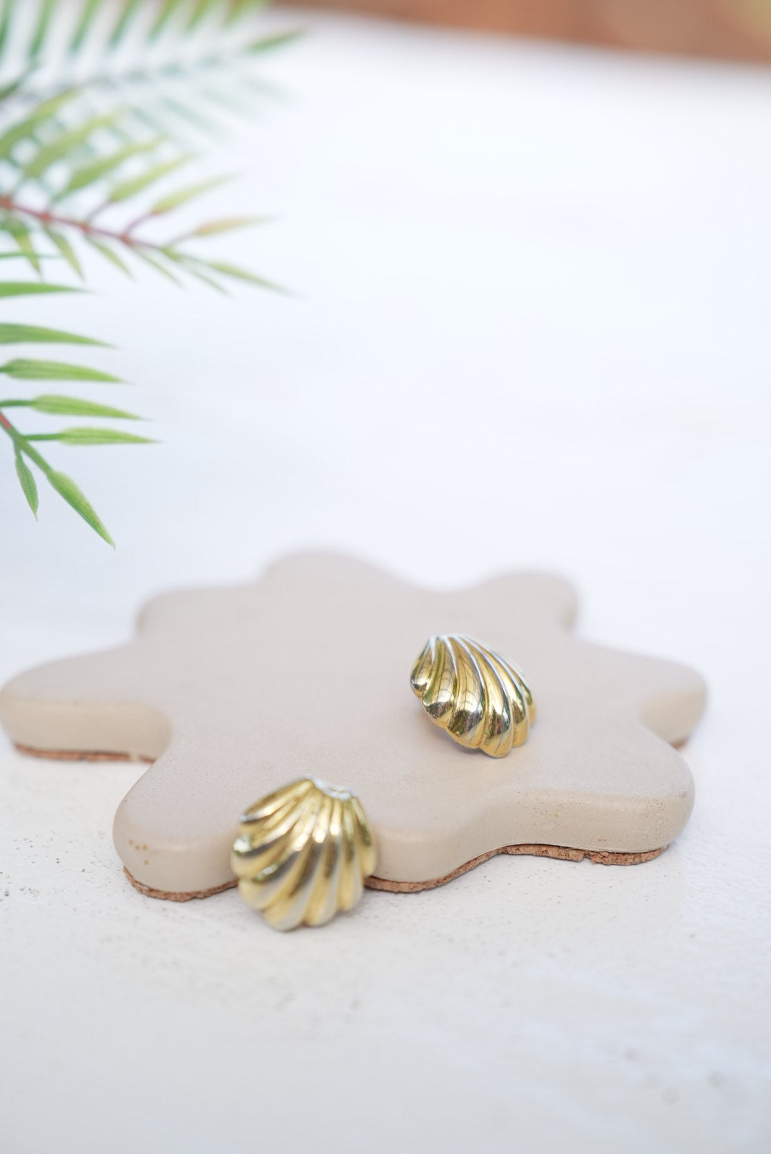 Shell Clip on Earrings