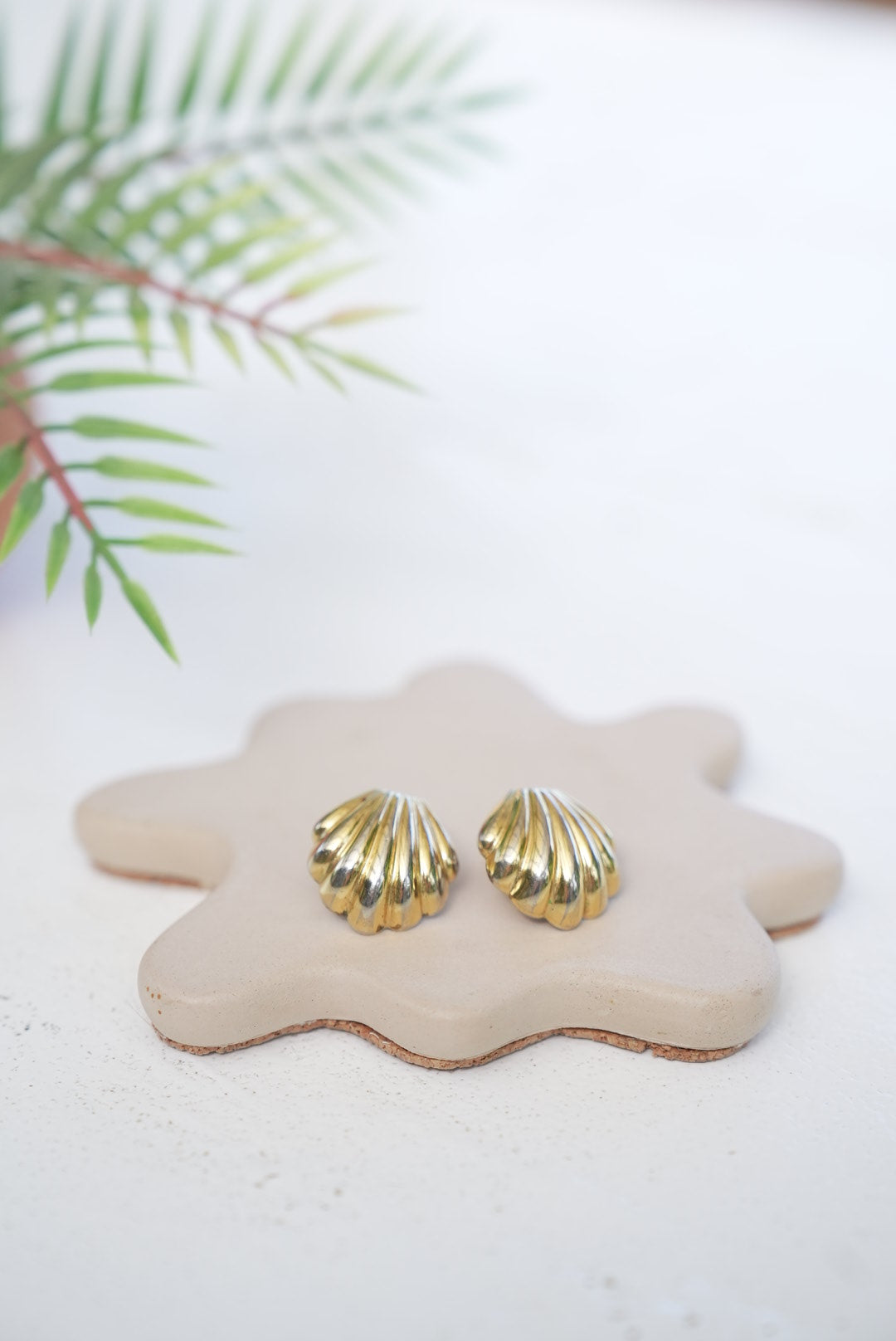 Shell Clip on Earrings